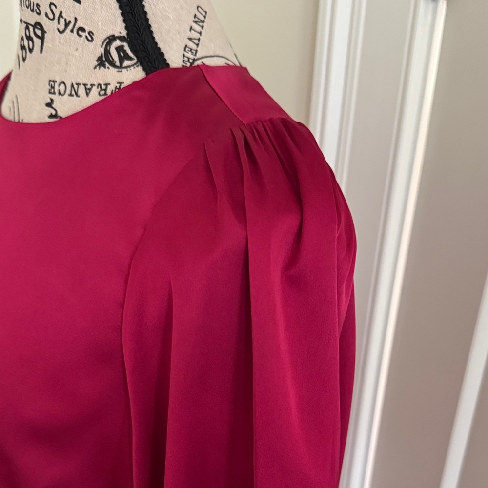 Elegant Raspberry Dress - Picture 2 of 5